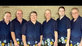 'Somewhere There's A Someone' - New from The Honky Express!!