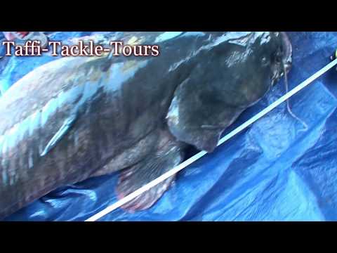 Rekordwaller in Spanien 2,70m/2,78m bei "Taffi Tackle Tours"