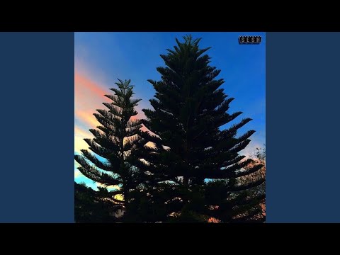 Dial Flower (feat. Drip-133)