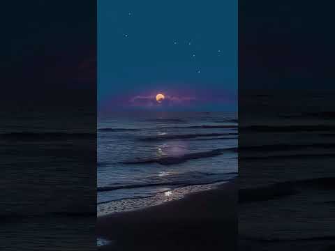 🖤❤️ #shortvideo #shorts #royalproduction