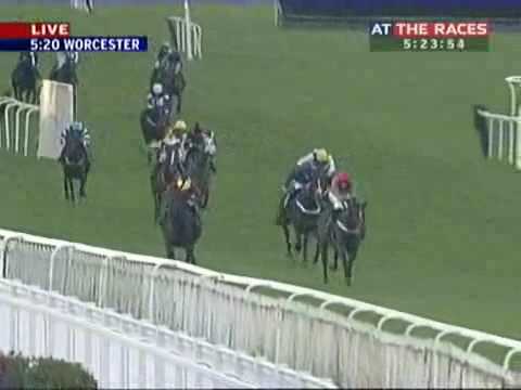 Horse Racing - Duke of Lucca