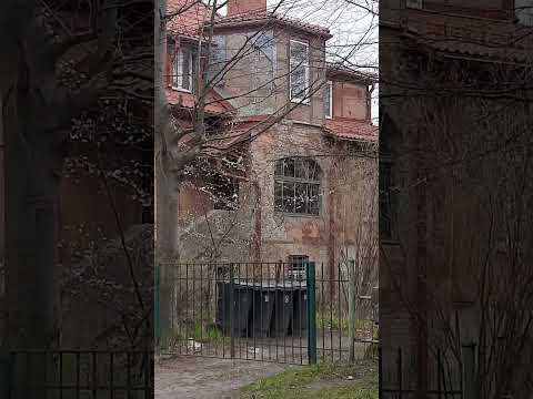 Walking along the streets of Kaliningrad