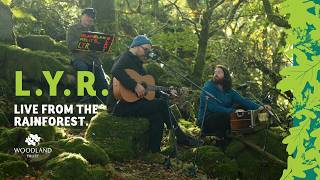Download lagu L.Y.R - live in the rainforest (Woodland Trust Sound Session) mp3