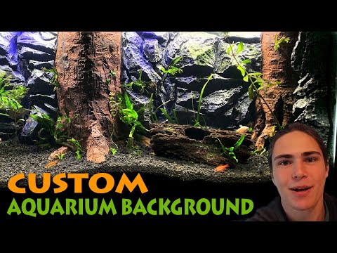 download lagu mp3 mp4 Drylok Aquarium Background, download lagu Drylok Aquarium Background gratis, unduh video klip Drylok Aquarium Background