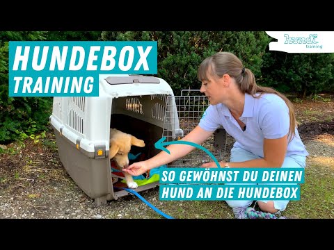 Hundebox Training | Wie gewöhne ich den Hund / Welpen an die Hundebox?