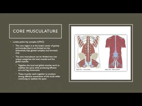 第 16 章 - 核心訓練理念 (Chapter 16 - Core Training Concepts)