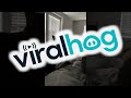 When the Food Bowl Is Empty || ViralHog