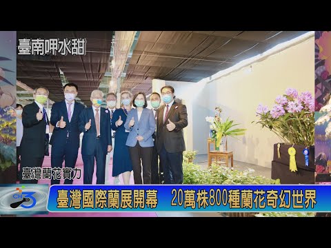 臺灣國際蘭展開幕 20萬株800種蘭花奇幻世界