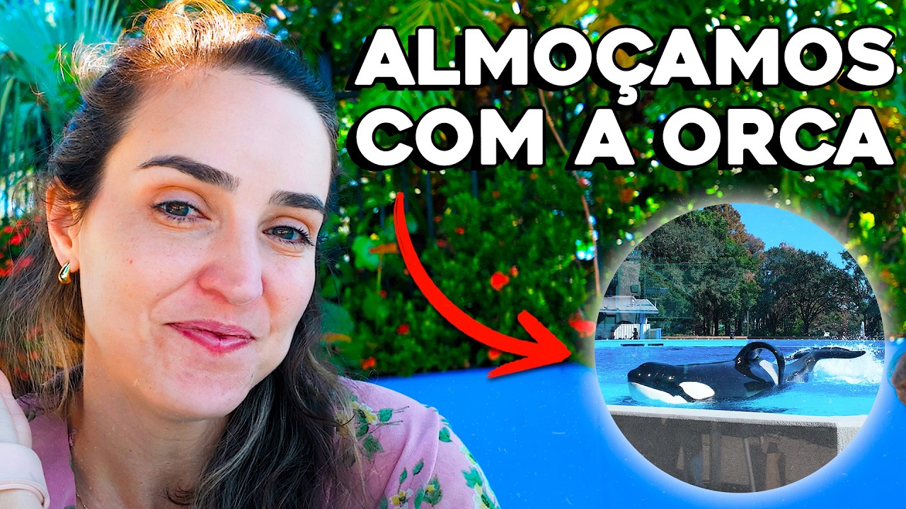 Vale a pena fazer a refeição com as Orcas no Sea World?