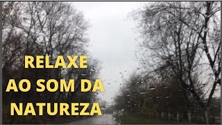 Como relaxar com a melodia da natureza!