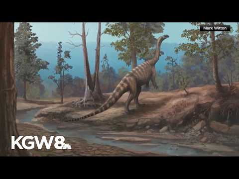 Scientists in Zimbabwe discover new species of dinosaur
