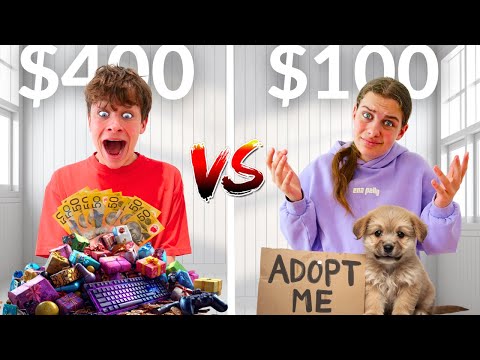 Who Was The MOST SELFISH Sibling? ($400 vs $100)