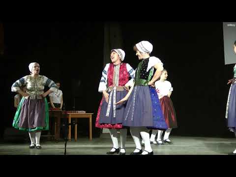 Kövirózsa - Zoborvidéki asszonycsúfoló