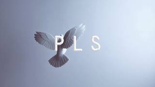 Download lagu Bad Karma Boy – P L S (Pravda Láska Sloboda) mp3