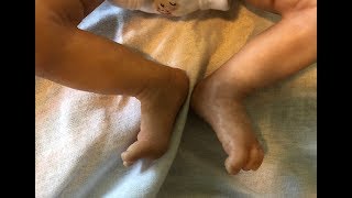 Disappointing Reborn Box opening