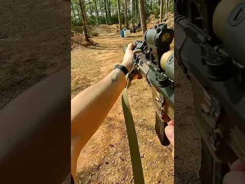 Primary Weapons Systems Mk1 .223 wylde