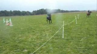 clear round on Frisco night