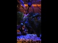 Finding Nemo