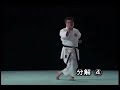 Heian Pinan Yondan Kata Bunkai Kumite Shito Ryu Karate