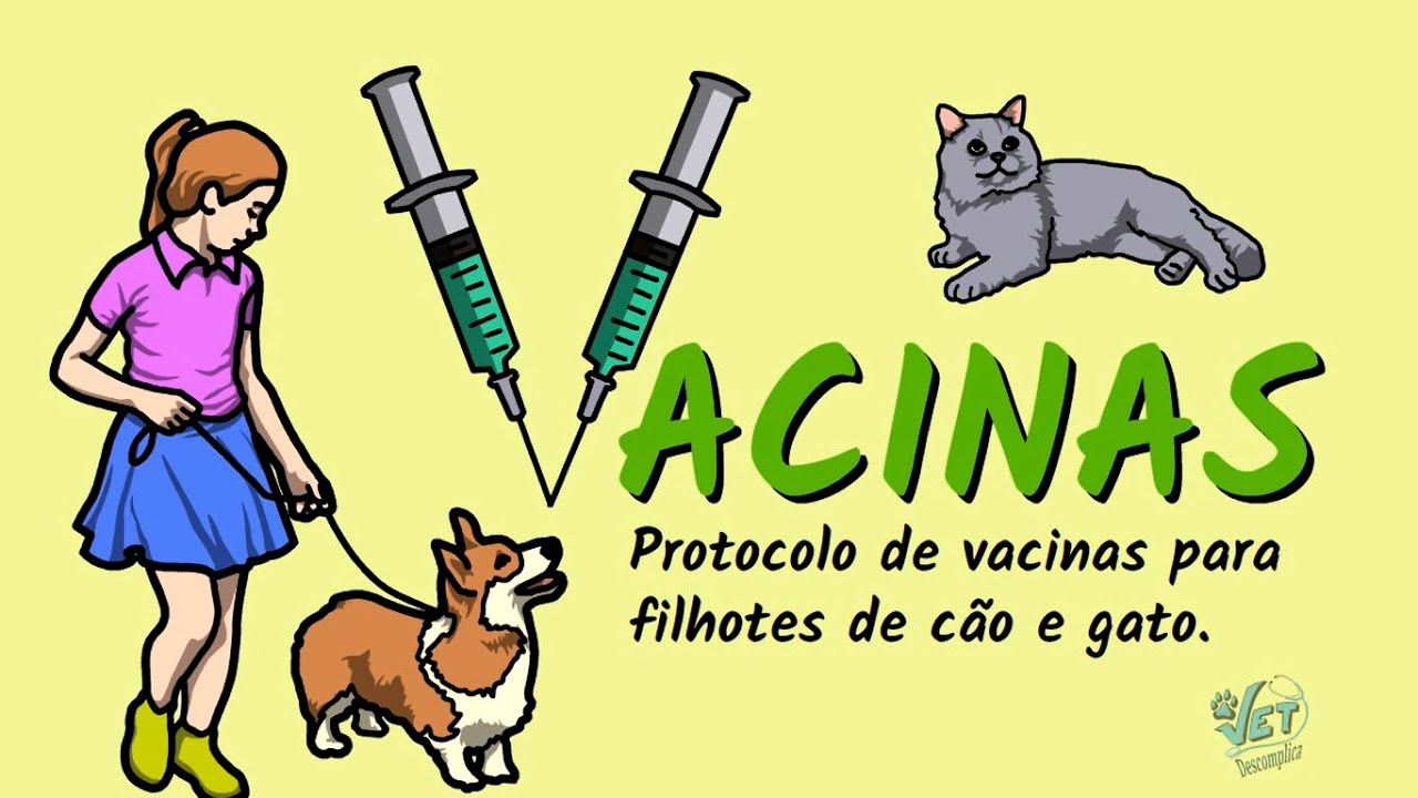 Protocolo de Vacinas para Filhotes de Cão e Gato - Vet Descomplica