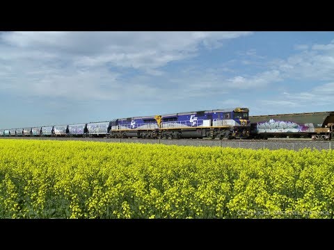 QUBE Grain Train With CM Class Diesel Locomotives (5/9/2019) - PoathTV Australian Railways