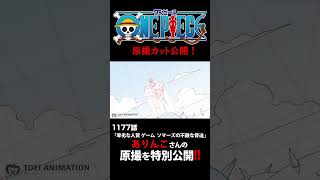 アニメ「#ONEPIECE」見放題配信への追加は木曜日‼️1177話‼️ #onepiece #原撮