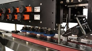 preview picture of video 'glass jars high speed screw capping machine with automated caps feeder system'