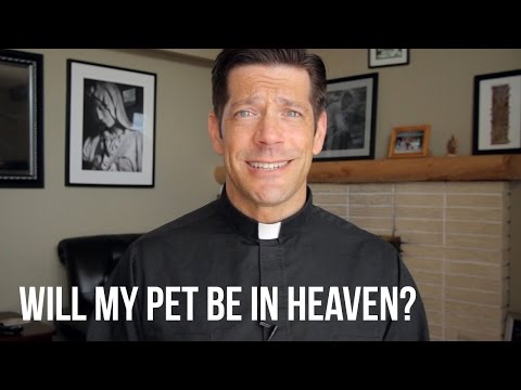 Will My Pet Be in Heaven? - YouTube