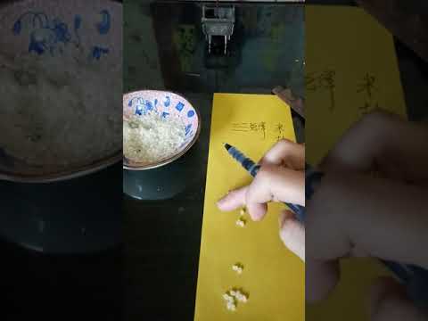 米卦原理