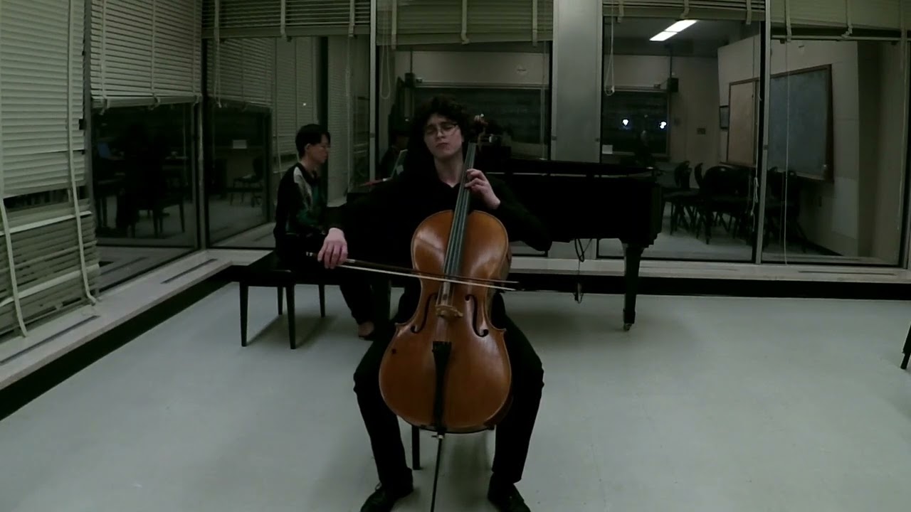 Promotional video thumbnail 1 for Mario Cellist