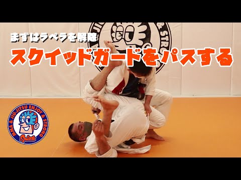 スクイッドガードをパスする