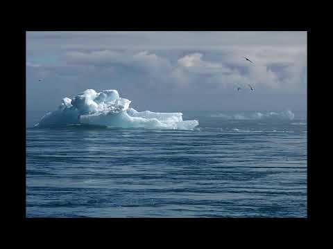 Descubrimiento en la Antártida