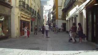 My Evergreen - Squirrel Nut Zippers