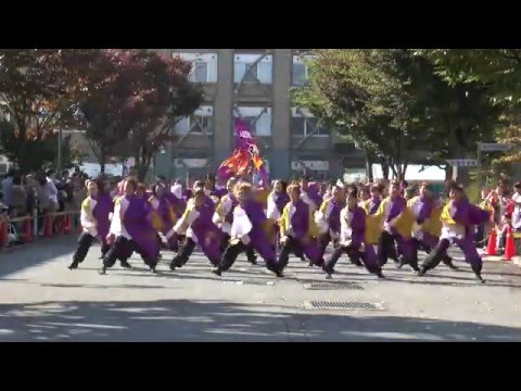 弘前大学総合文化祭 よさこいサークル弘大焔舞陣