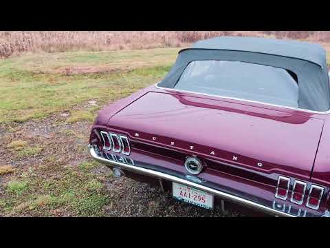 1967 Ford Mustang (CC-1971575) for sale in Fredericton, New Brunswick