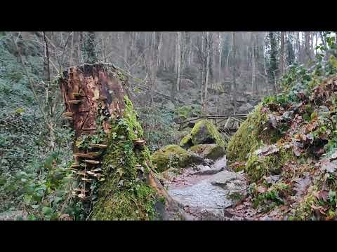 Gaishöll-Wasserfälle Schwarzwald