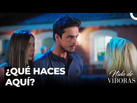 Los Intentos De Enviar Nagme - Nido De Víboras Capitulo 2