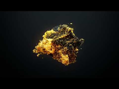 The Secret Life of Your Fridge: A Hilarious Investigation