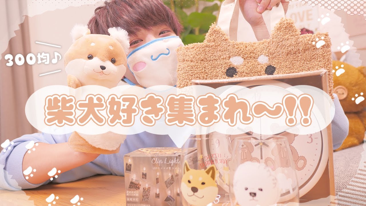 とある300円ショップでちょこっと買ったもの達🐶