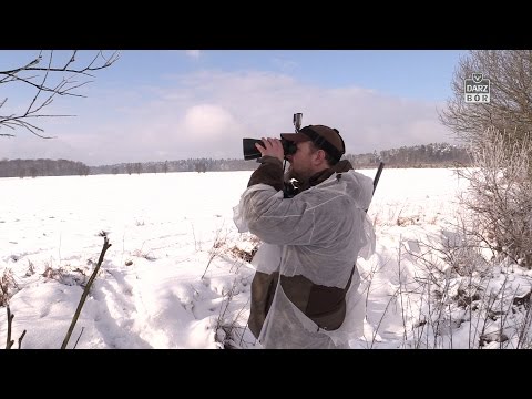 Darz Bór odc 131 - Polowanie na lisa cz.1