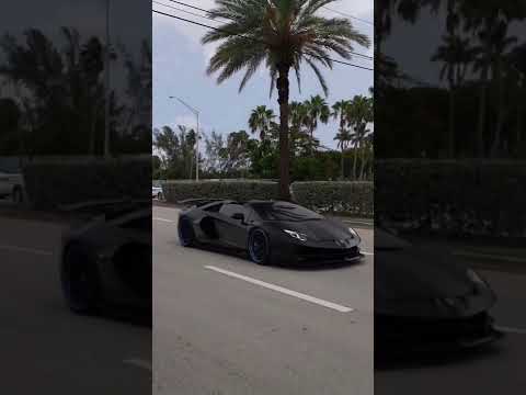 The Black Cobra Lamborghini Aventador SVJ 🔥