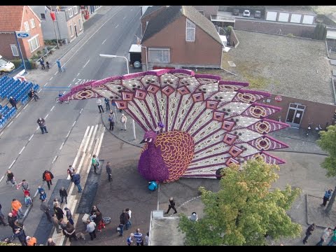 Bloemencorso Poteind Zundert 2014 "from the air"