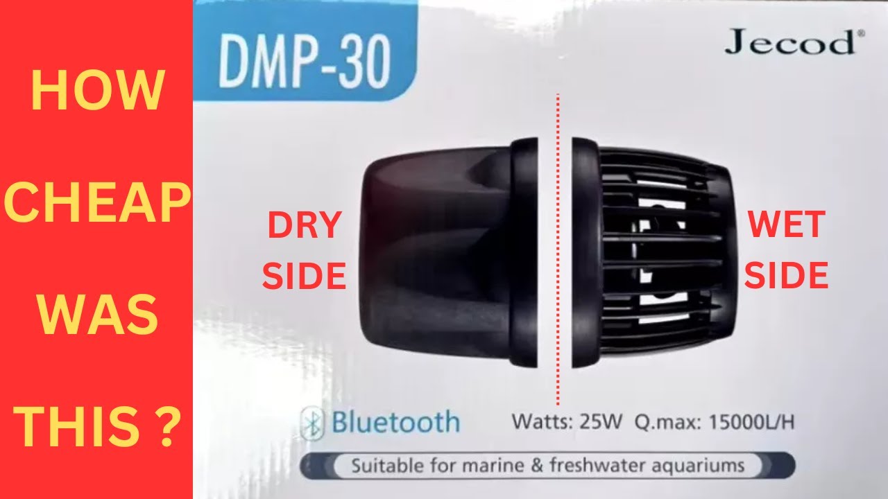 NEW Jecod DMP 30 Wavemaker