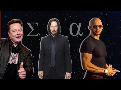 7 Males Personality Types Explained | What Type Are You?