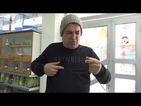 Baskia  - Breshka  (HUMOR)