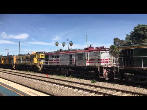 48s35-48s34-4917-602-G513 SSR 2347 Junee 11-10-20