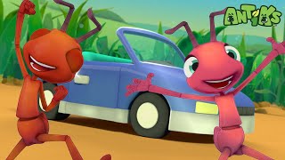 Download lagu Patroli Kecepatan! | ANTIKS Indonesia | Kartun Anak-anak | BARU 2023 | Petualangan Semut ANTIKS mp3