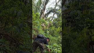 Download lagu BISA BISANYA AKU MIKAT BURUNG DEKAT LAYANGAN BESAR DAPAT BANYAK BURUNG KECIL mp3 Download lagu BISA BISANYA AKU MIKAT BURUNG DEKAT LAYANGAN BESAR DAPAT BANYAK BURUNG KECIL mp3