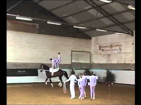 Juniorteam TuS Fortuna Saarburg, 3. Platz LM Rheinland Pfalz 2011 Voltigieren