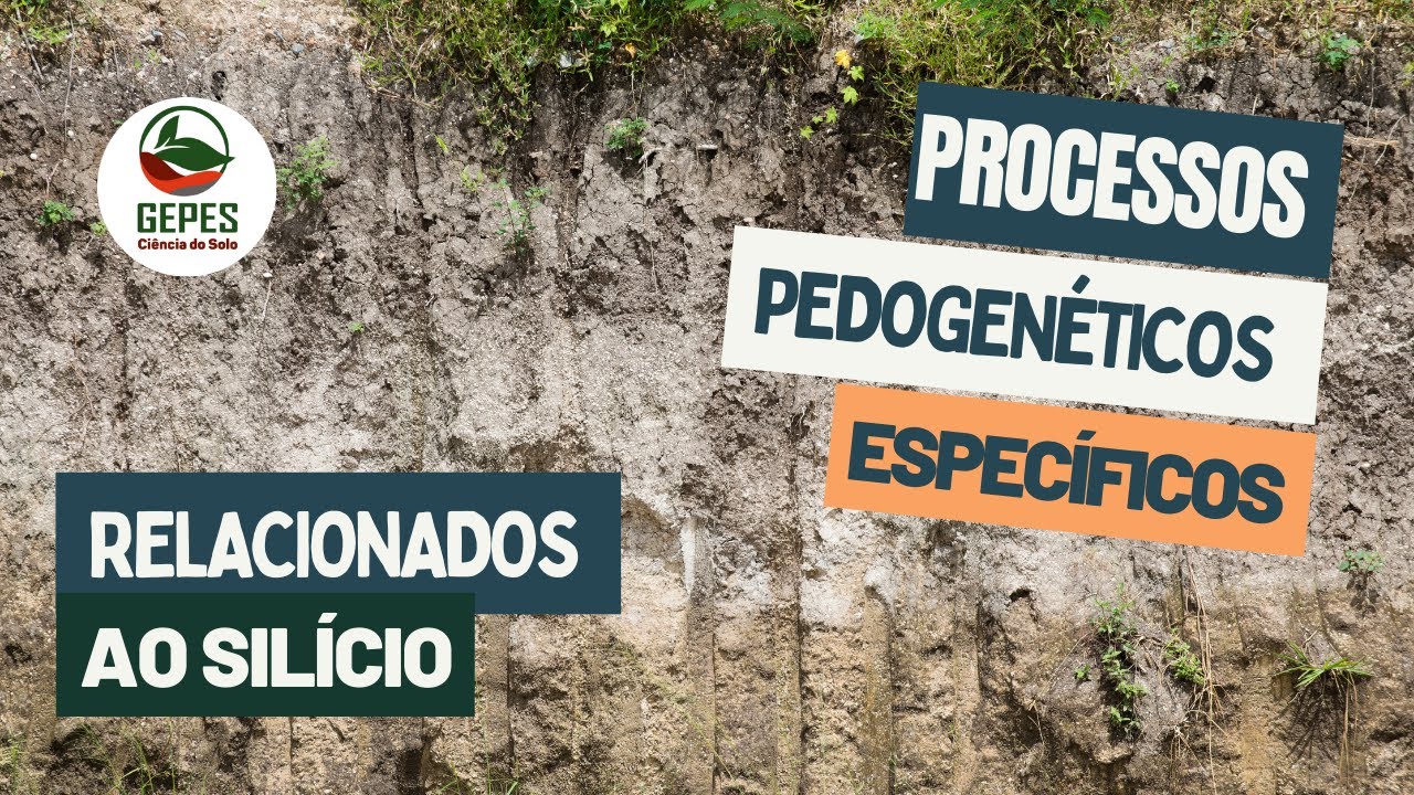 Processos pedogenéticos específicos: relacionados ao silício